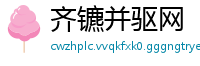 齐镳并驱网